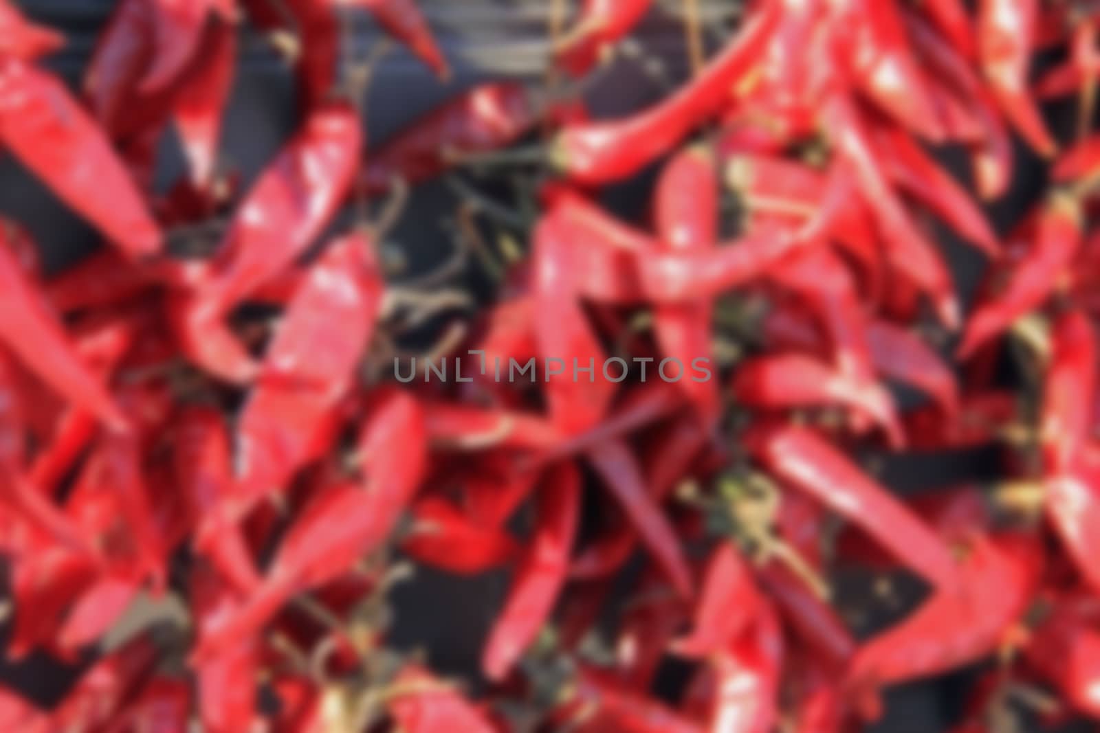 chili in a bundle ready for sale, chili background blurred