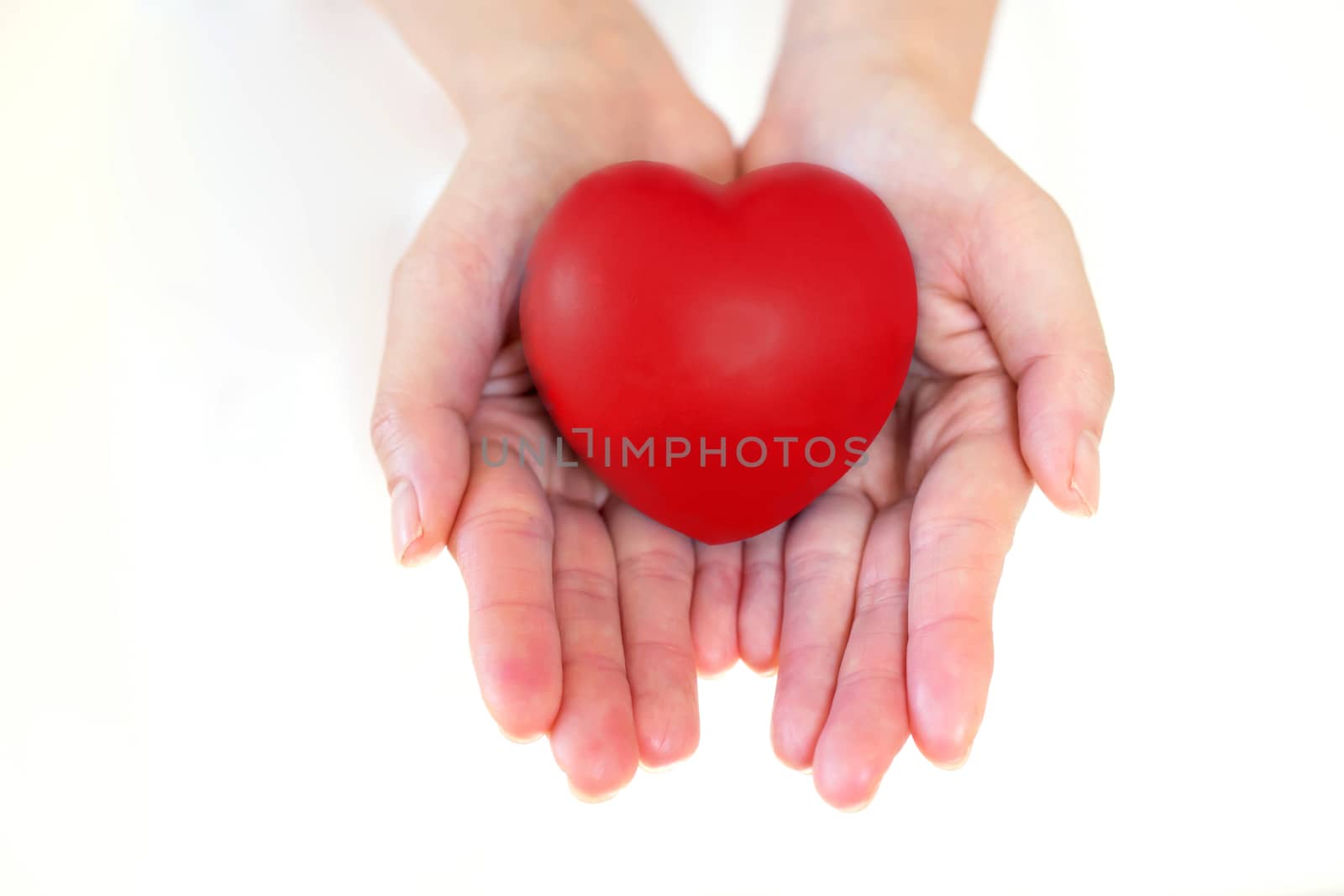 Heart in the hands