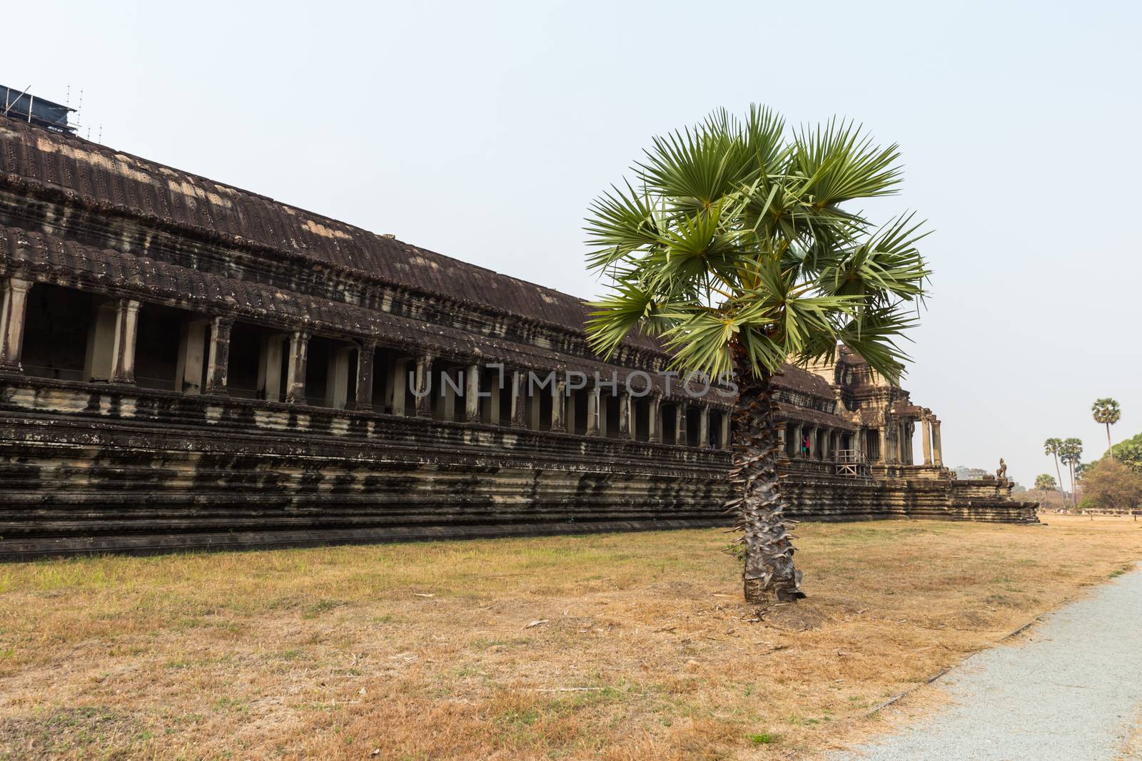 Angkor wat temple in Siem Reap Cambodia