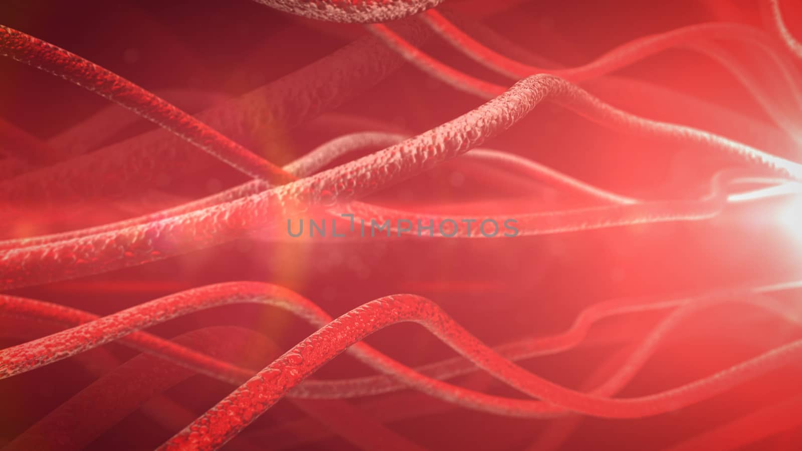 Neurons and nervous system. 3d render 