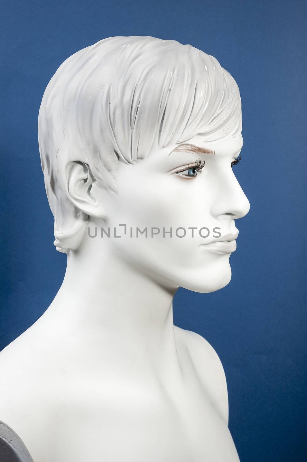 Figurine Head, monochrome on the blue background