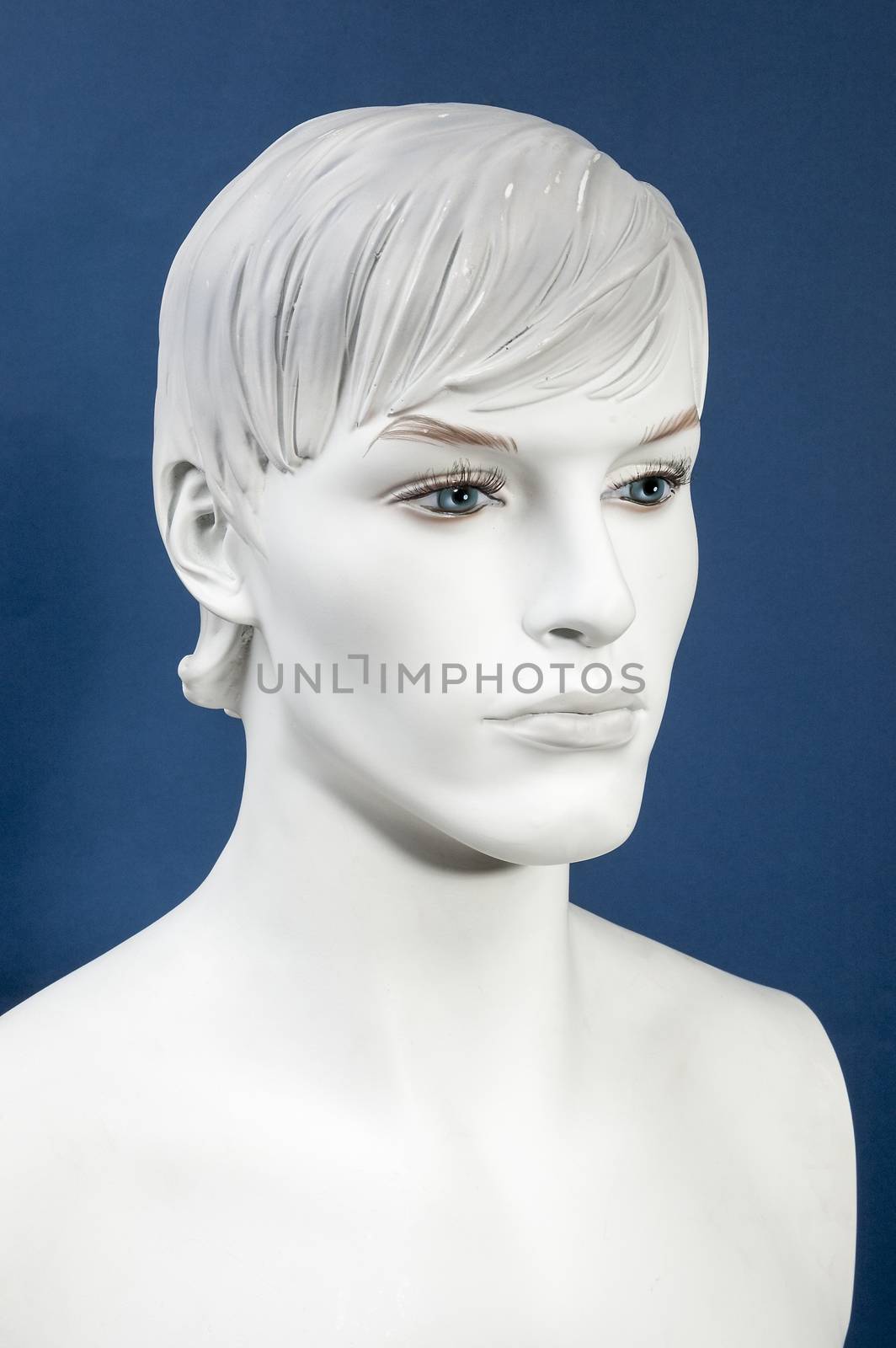 Figurine Head, monochrome on the blue background