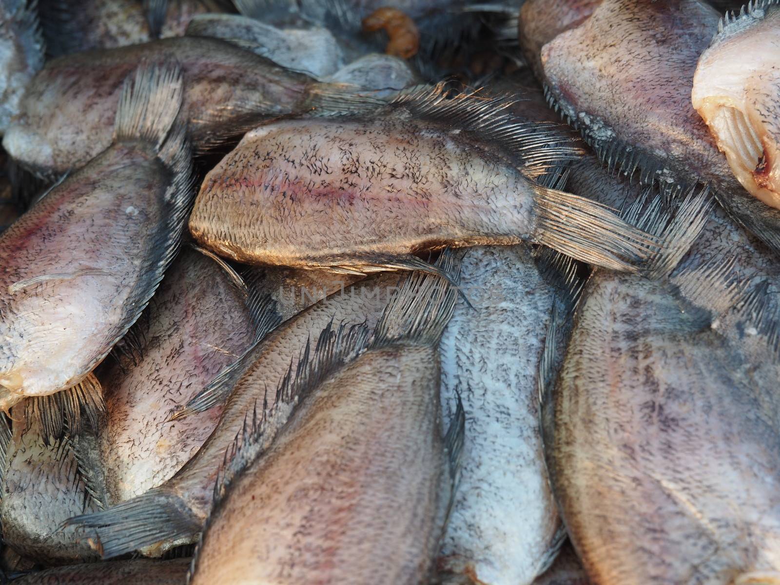 Dried Trichogaster Pectoralis Fish, A Kind Of Food Preservation In Thailand