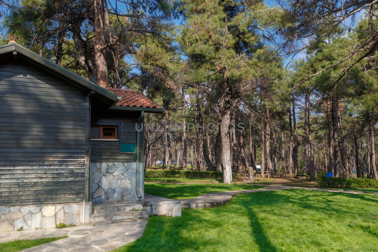 View of a big park with pine trees, meadow area and wooden house around.