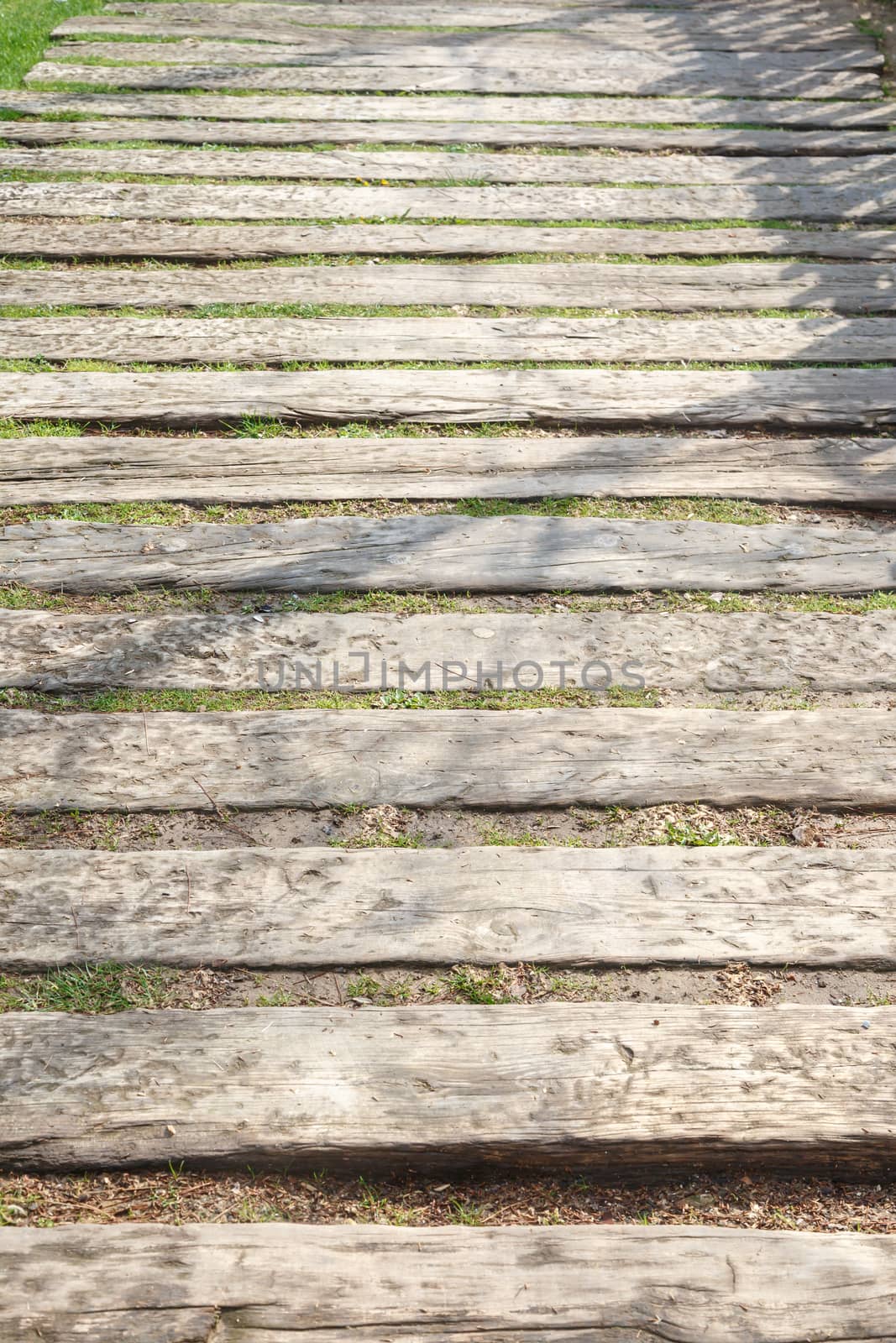 Close up detailed view of a wooden pathway in a park.