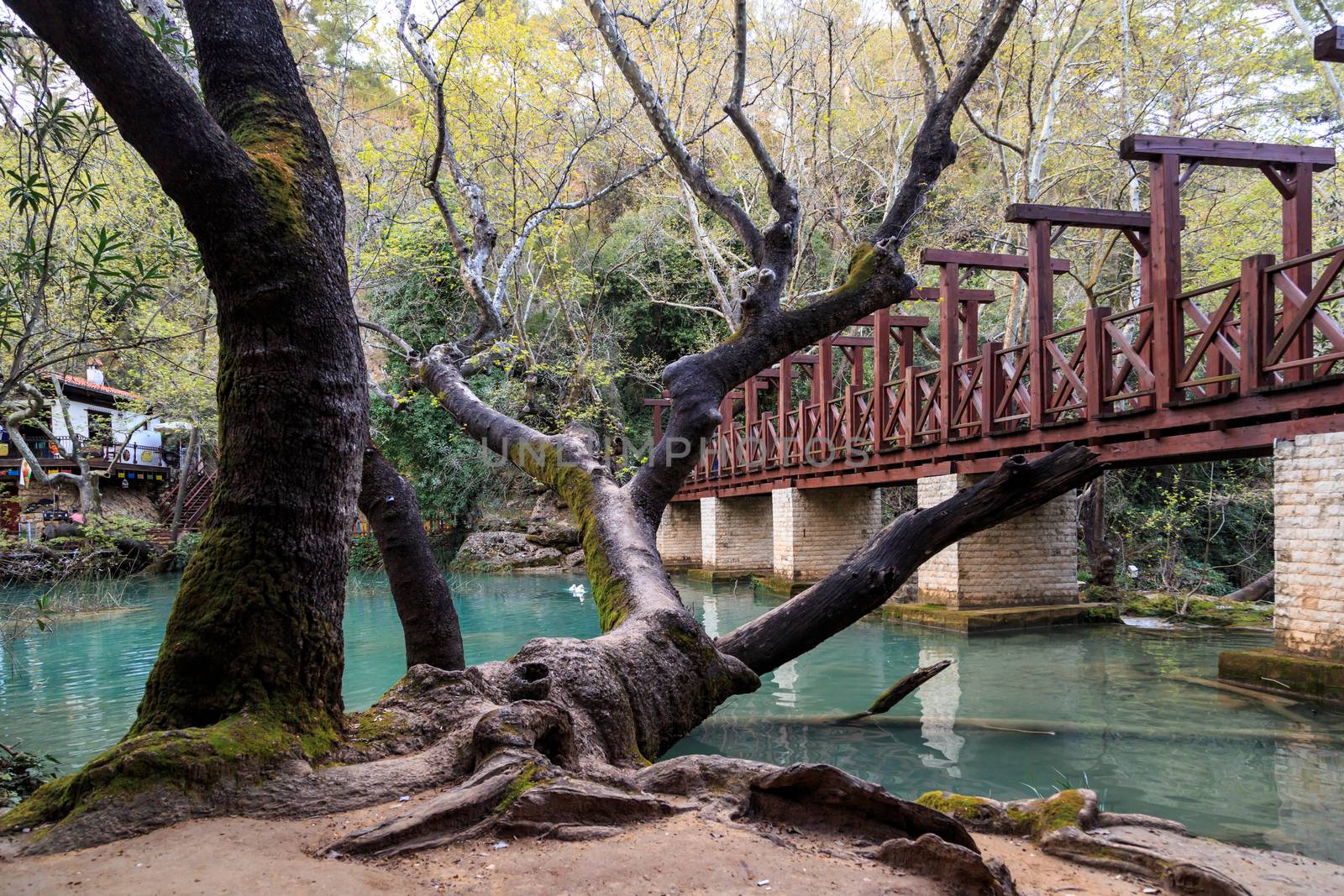 View of a wooden bridge on a lake in Kursunlu Waterfall around trees.