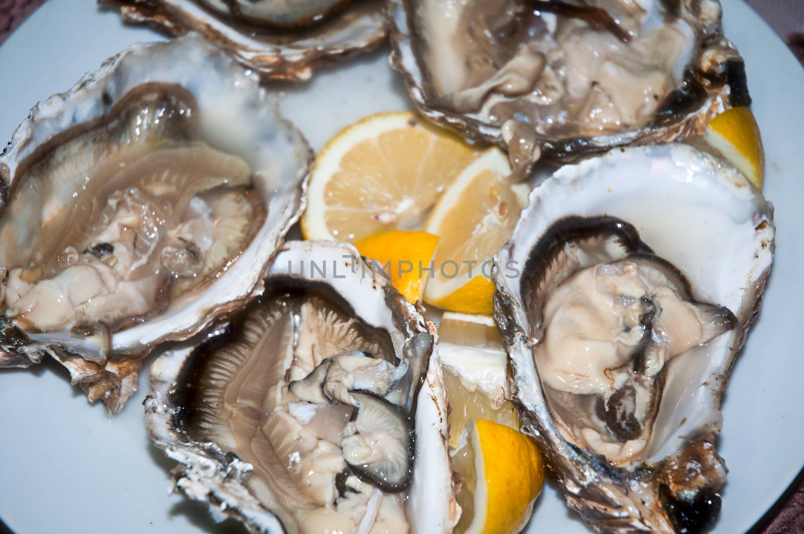 Opened oysters . by LarisaP