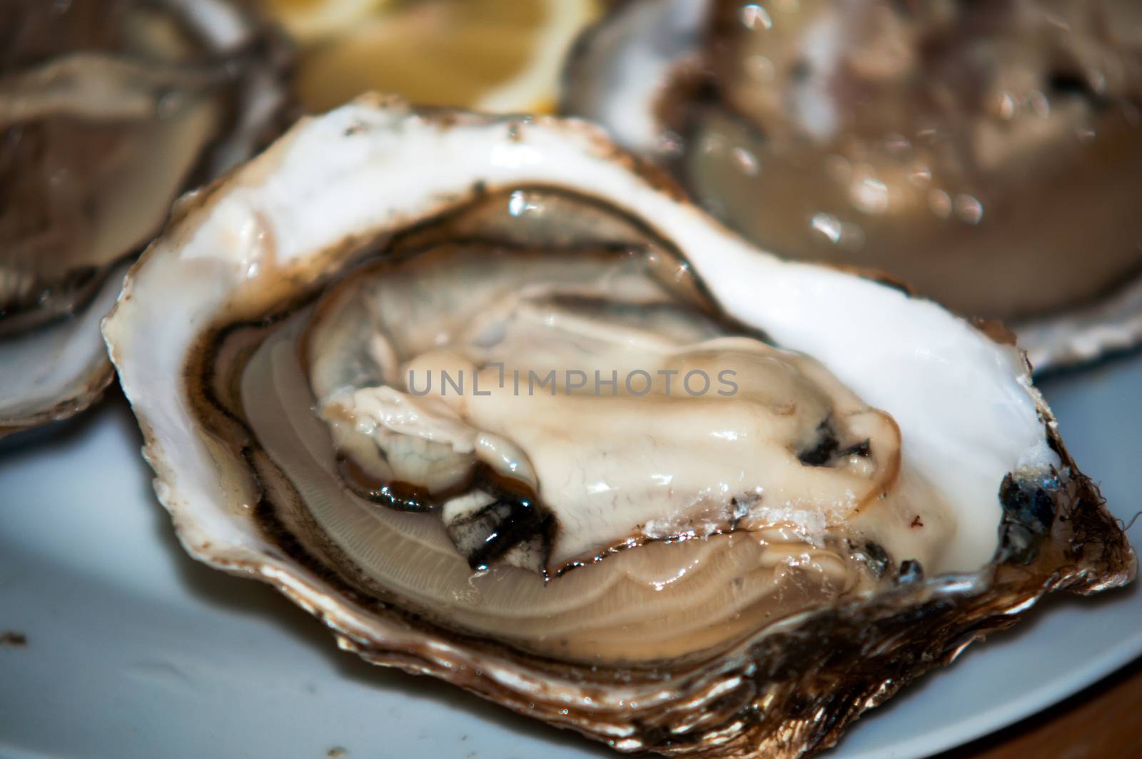 A platter of fresh raw oysters with lemon.