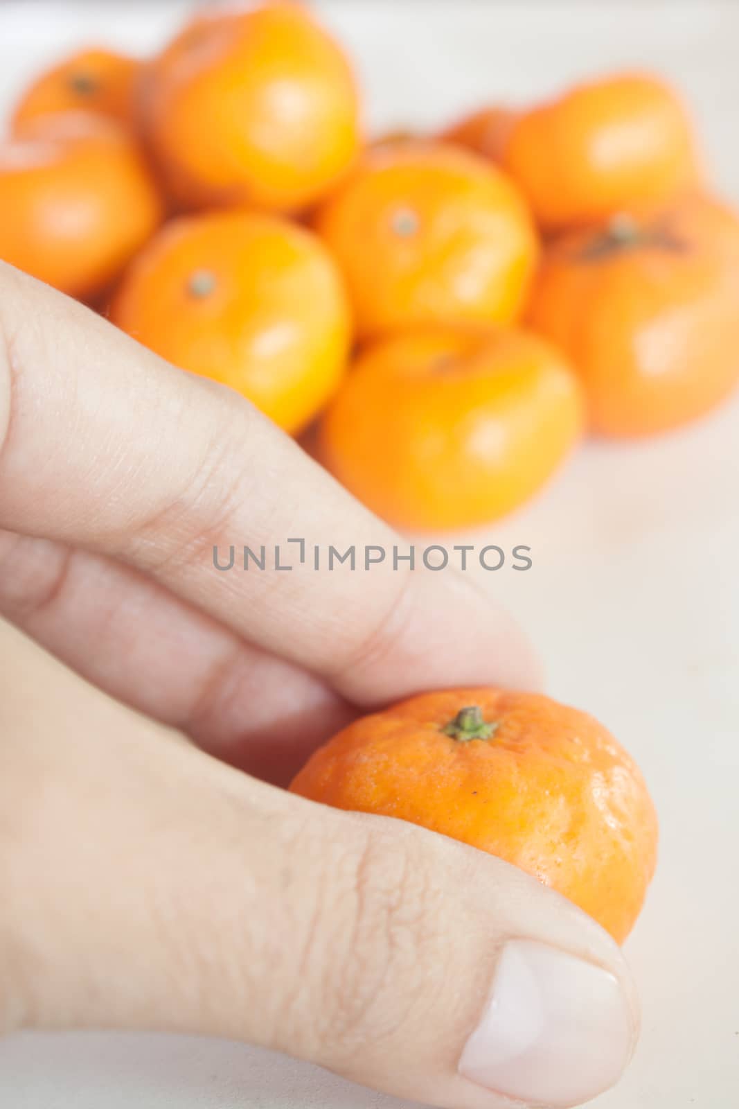Small oranges grown in Thailand.