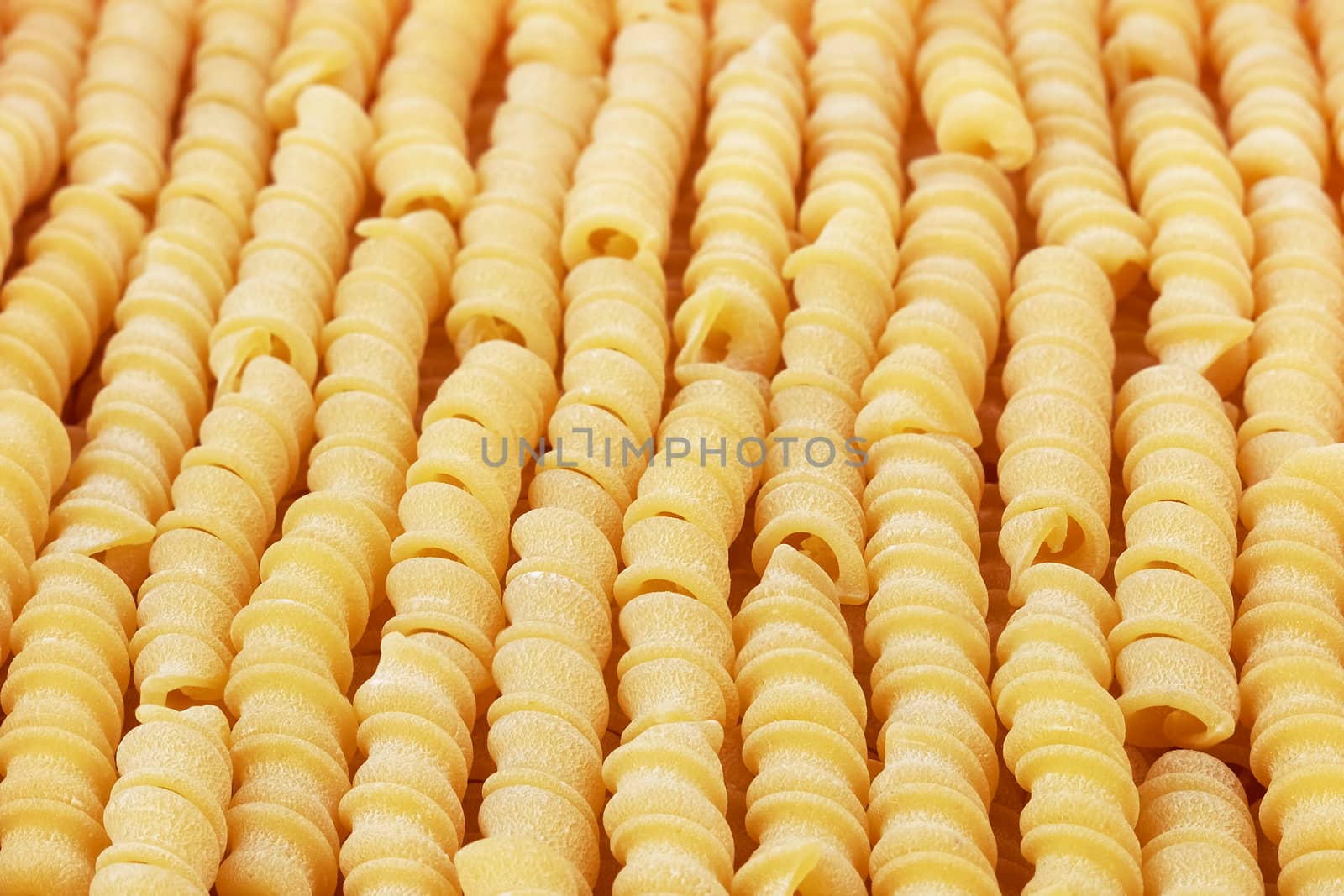 Italian uncooked wheat spiral pasta closeup sorted vertically.