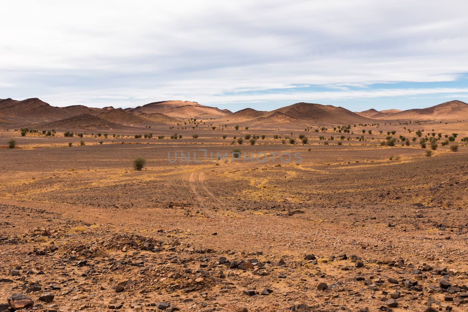 road in the desert Sahara by Mieszko9