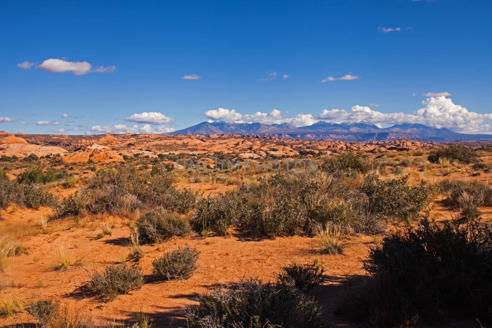 Petrified dunes in Arches National Park Utah, The Manti La Sal Mountains can be seen in the background,