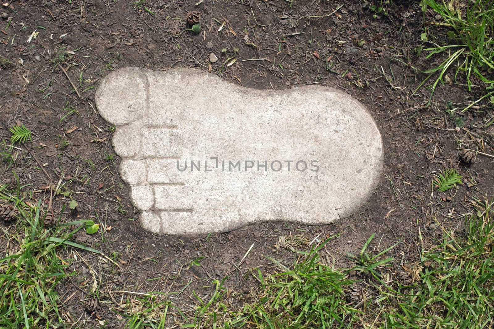 A wooden foott in earth and grass