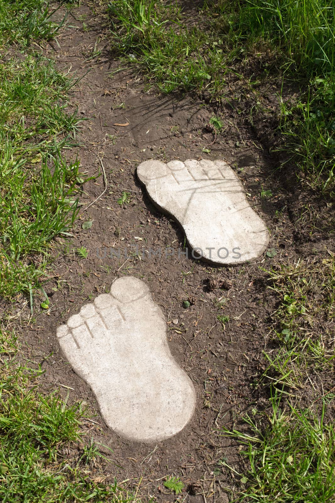 Two wooden feet in earth and grass