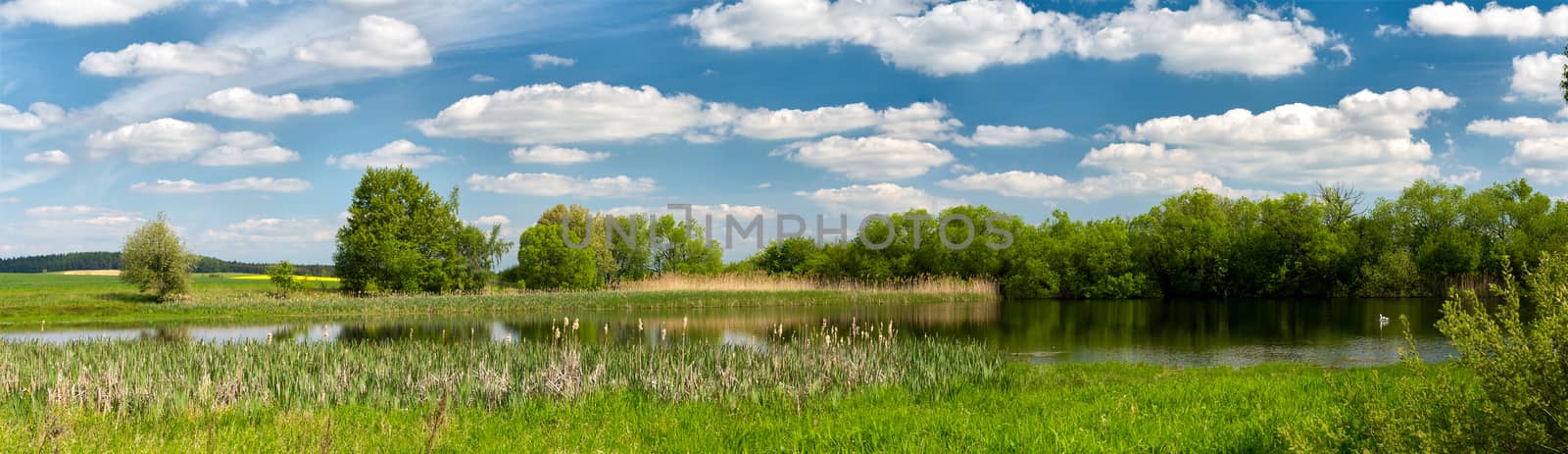 panorama of Beautiful summer rural landscape with small lagoon. Rural landscape with pond. Spring landscape. Green czech countryside. Beautiful highland vysocina european countryside