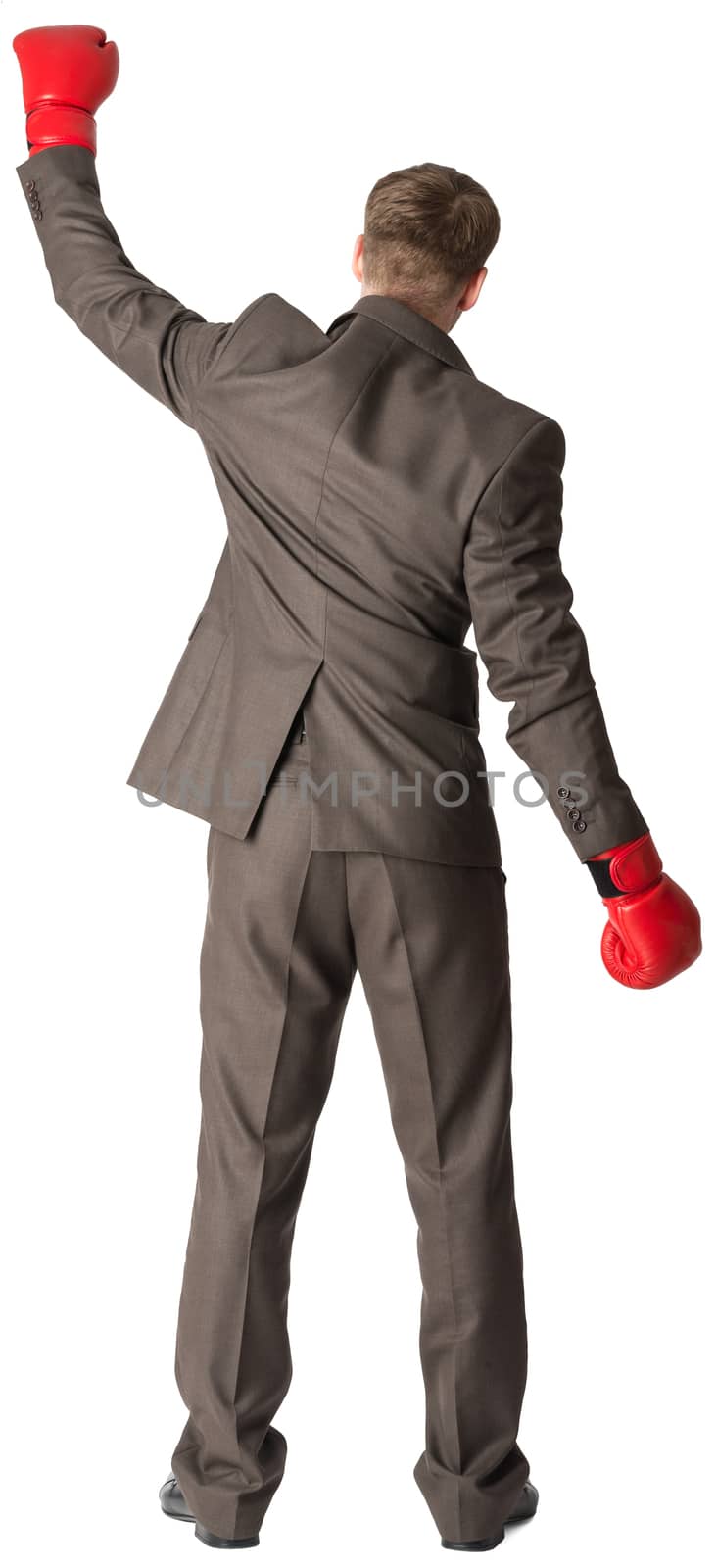 Businessman with boxing gloves, rear view. Isolated on white background