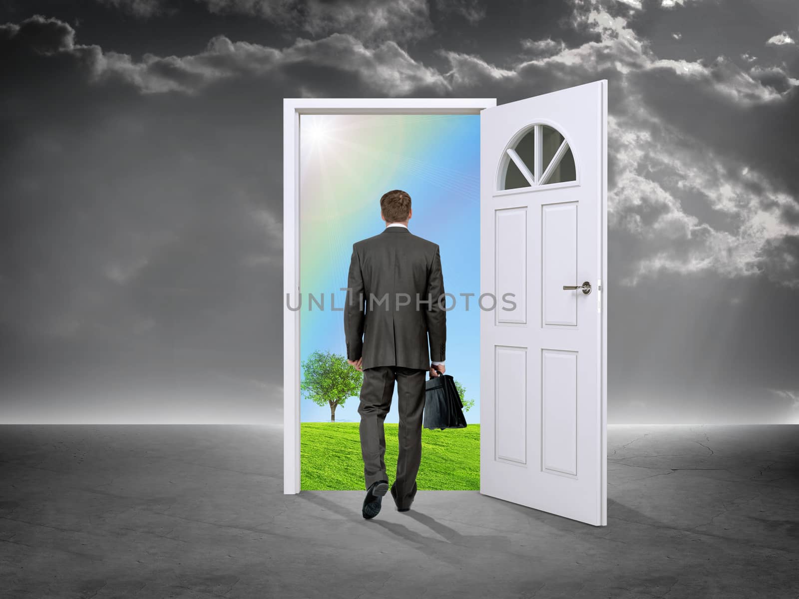 Businessman in grey room with door in nature, rear view