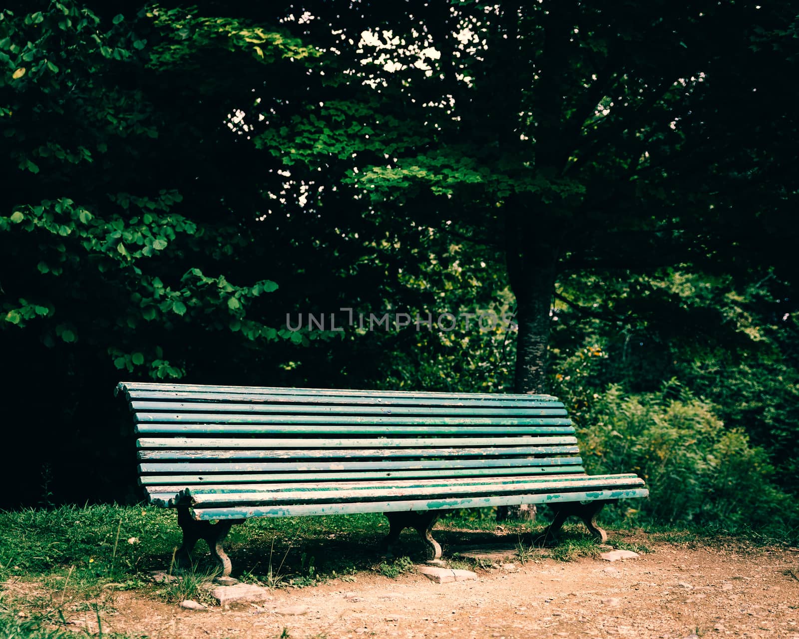 Old green bench in a park