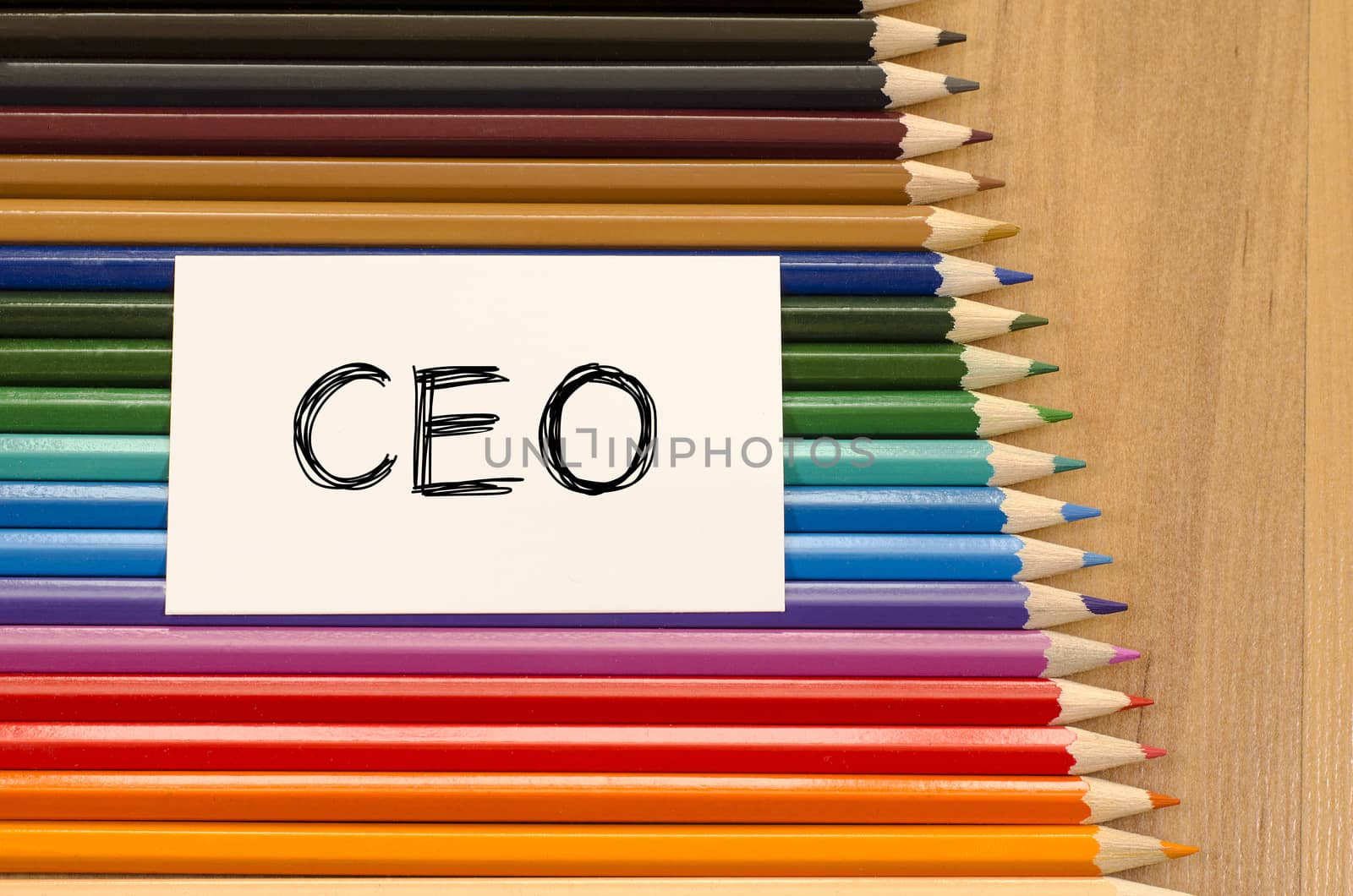 Ceo text concept and colored pencil on wooden background