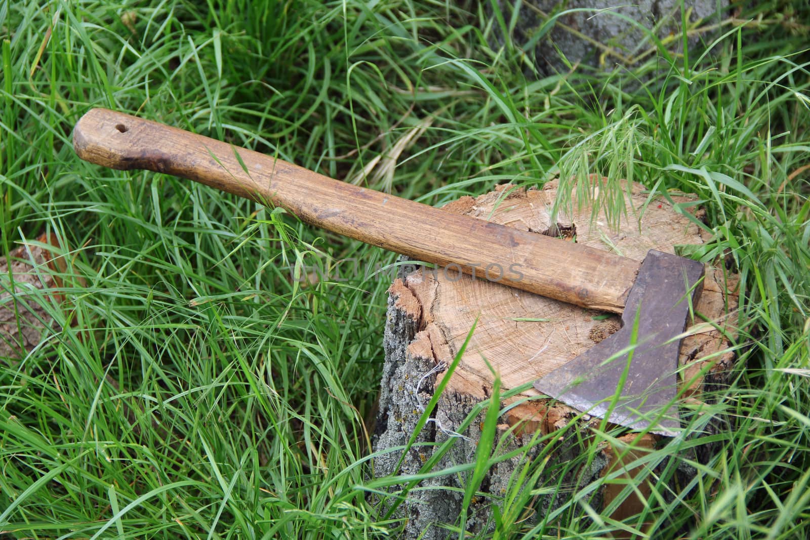 ax on a tree stump in the forest. photo