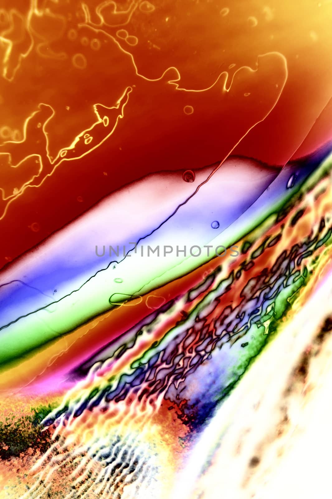 Light Graphics: Microphoto of translucent structures in polarized light