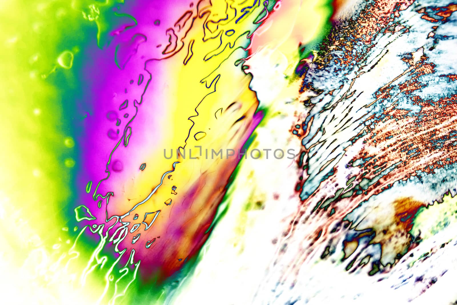 Light Graphics: Microphoto of translucent structures in polarized light