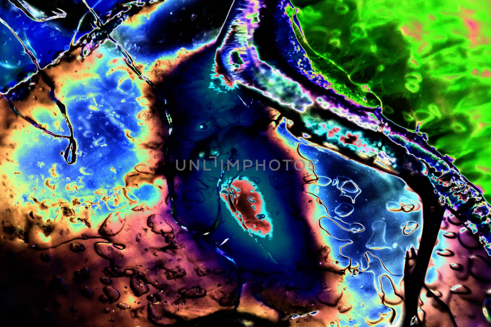 Light Graphics: Microphoto of translucent structures in polarized light