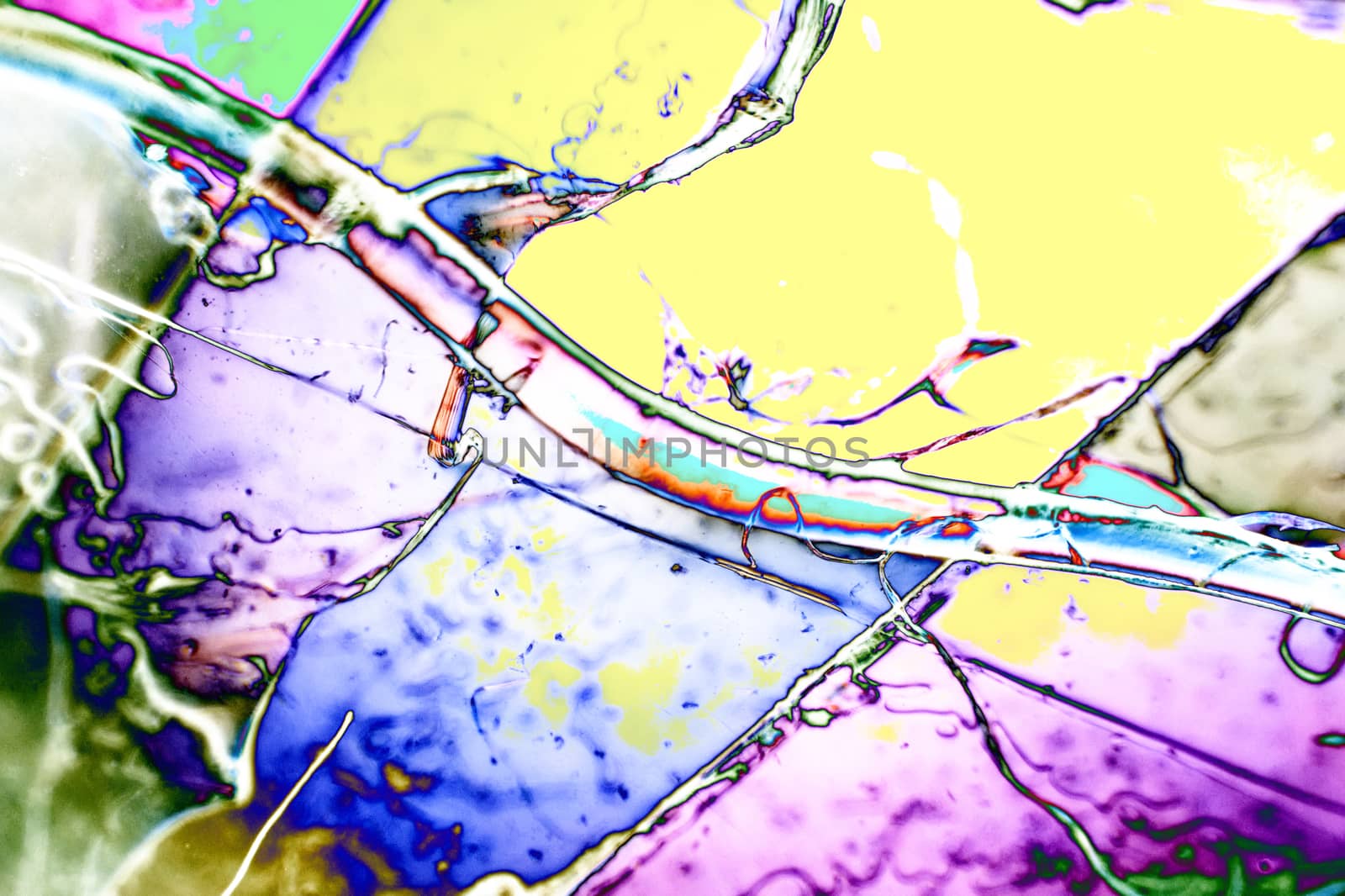 Light Graphics: Microphoto of translucent structures in polarized light