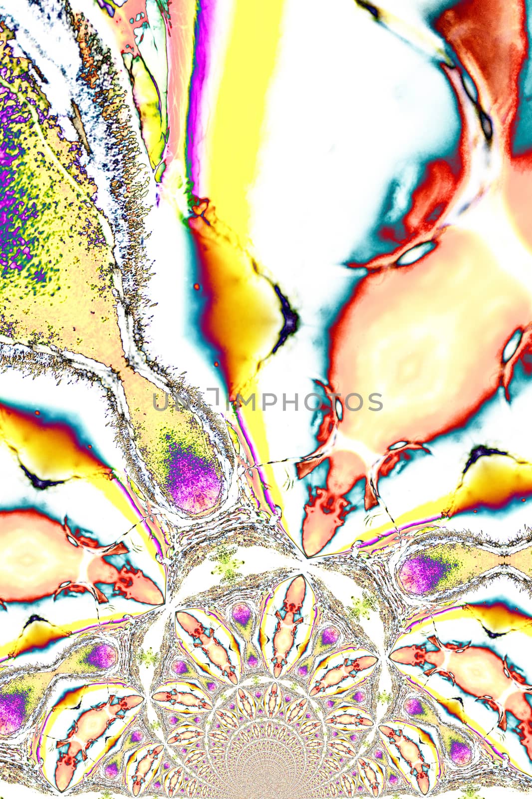 Light Graphics: Microphoto of translucent structures in polarized light