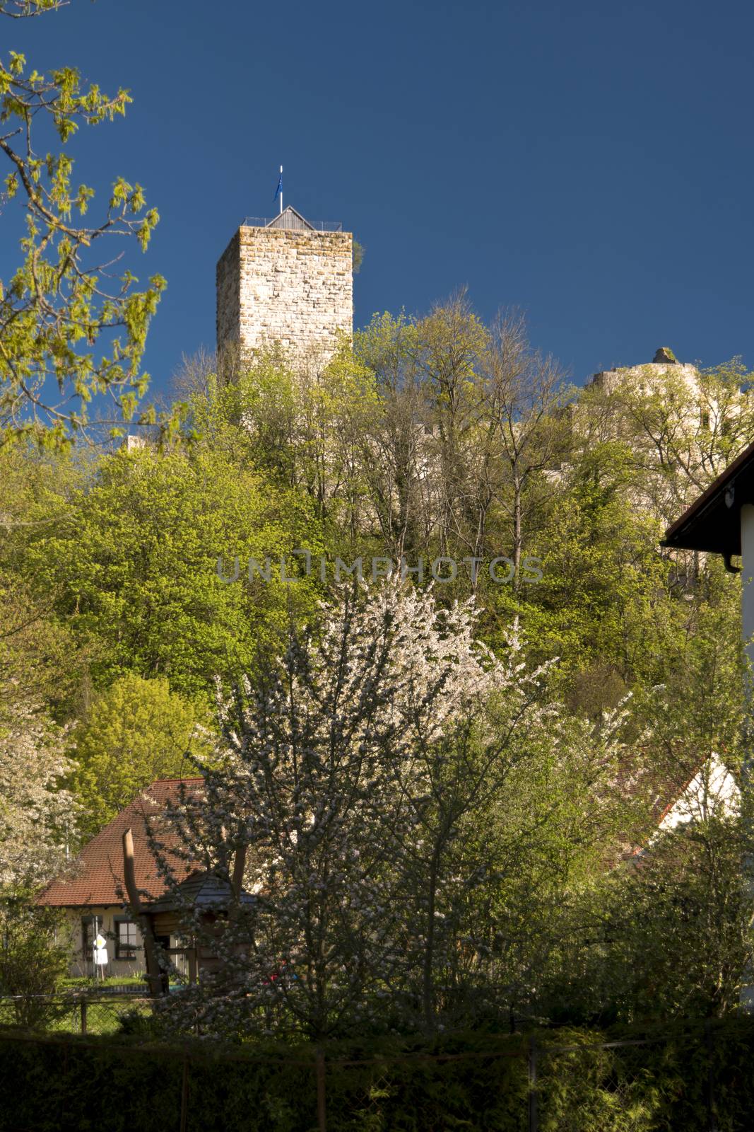 Pappenheim in the Altmuehltal in Germany