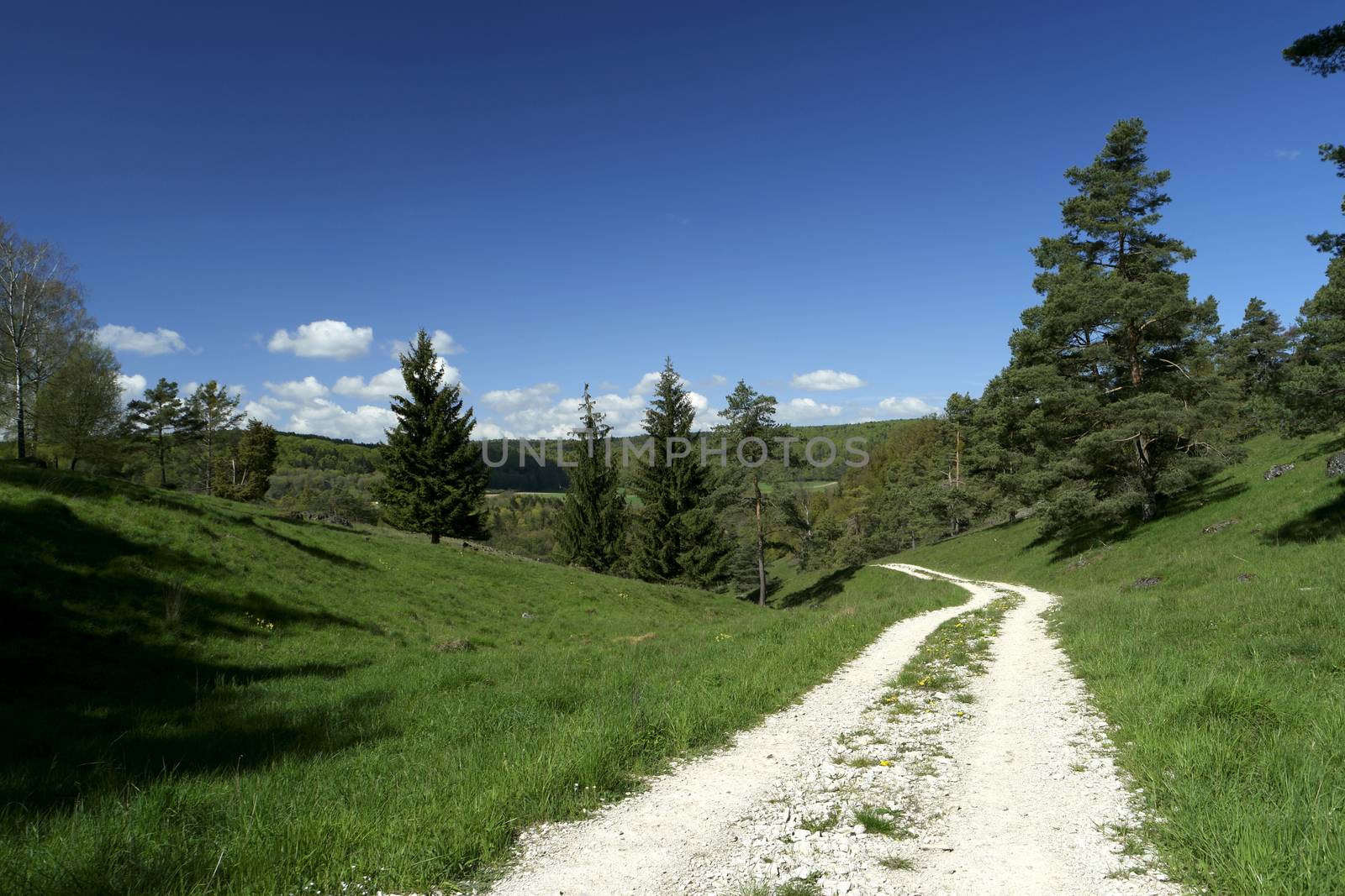 On the Altmuehltal Panorama Trail in Germany