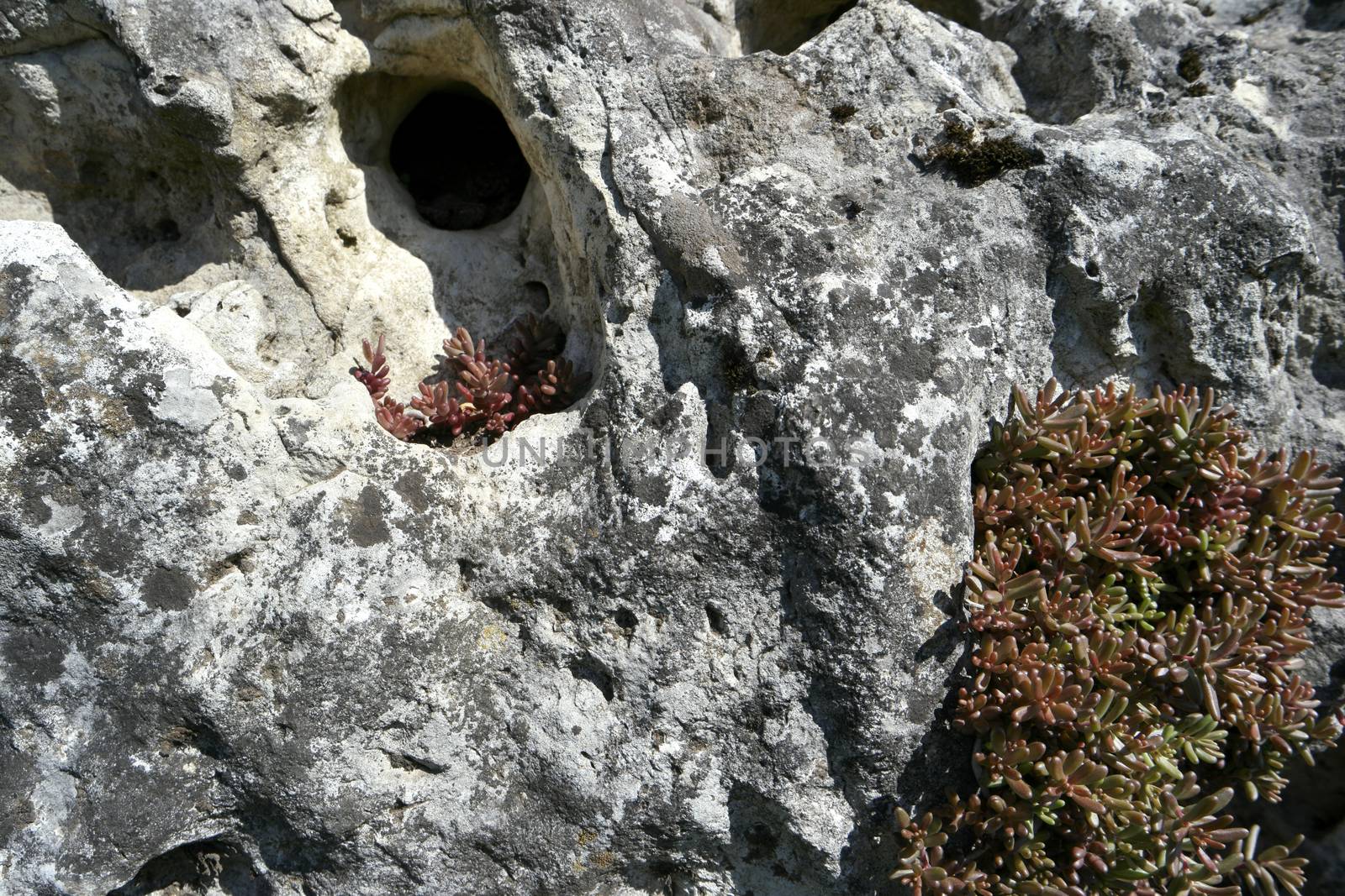 Rocks in the Altmuehltal in Germany by 3quarks