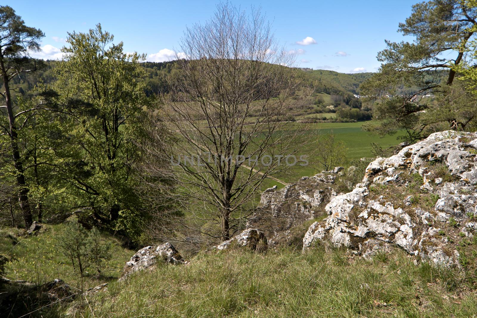 On the Altmuehltal Panorama Trail in Germany