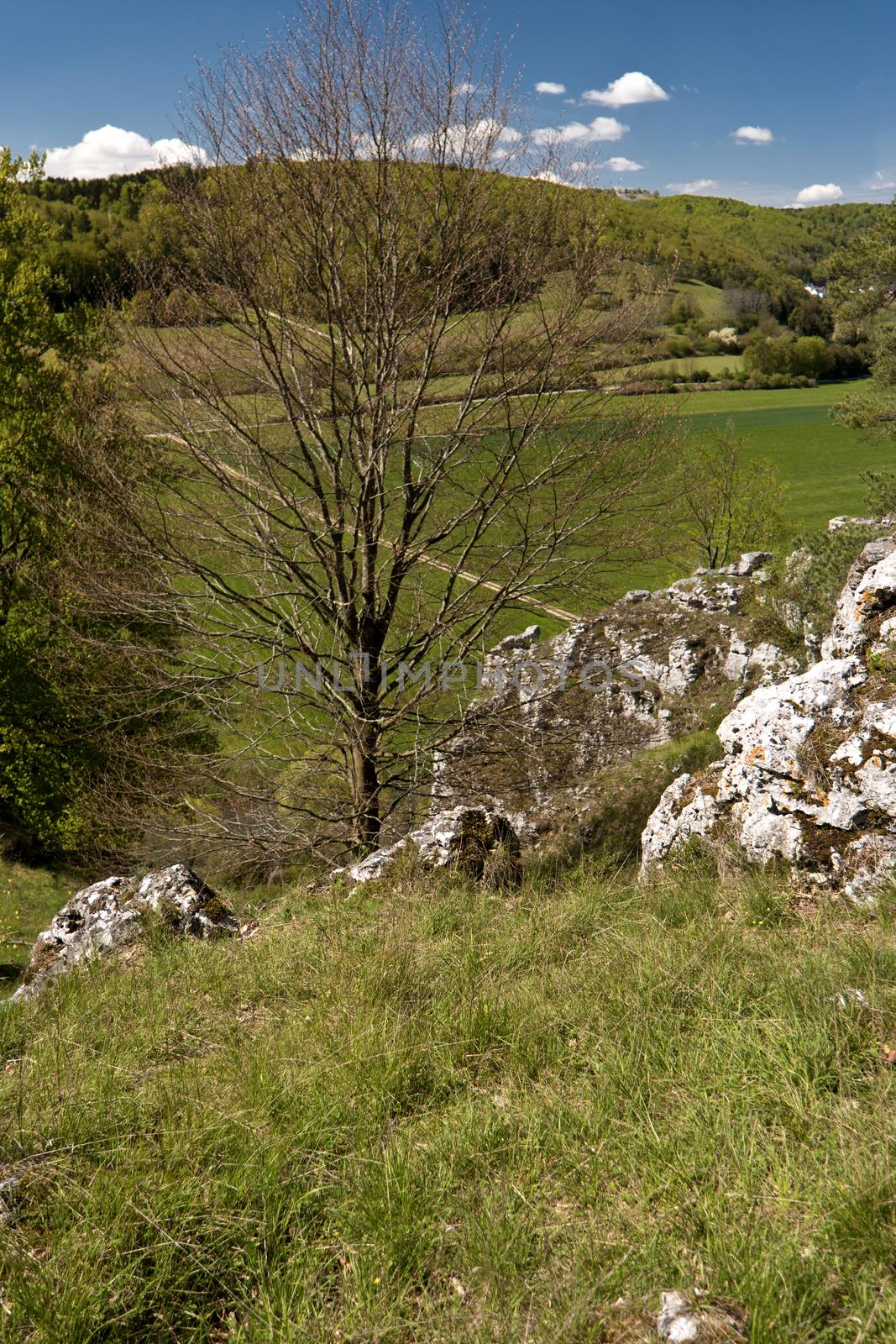 On the Altmuehltal Panorama Trail in Germany