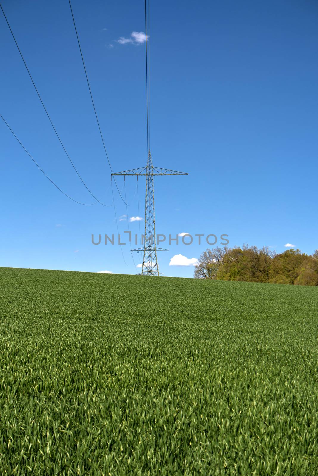 Power Poles in Germany