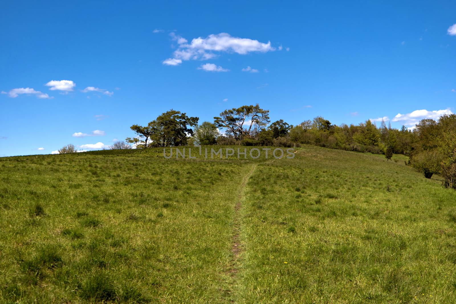 On the Altmuehltal Panorama Trail in Germany by 3quarks