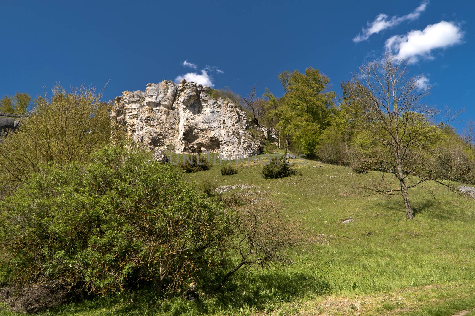 On the Altmuehltal Panorama Trail in Germany by 3quarks