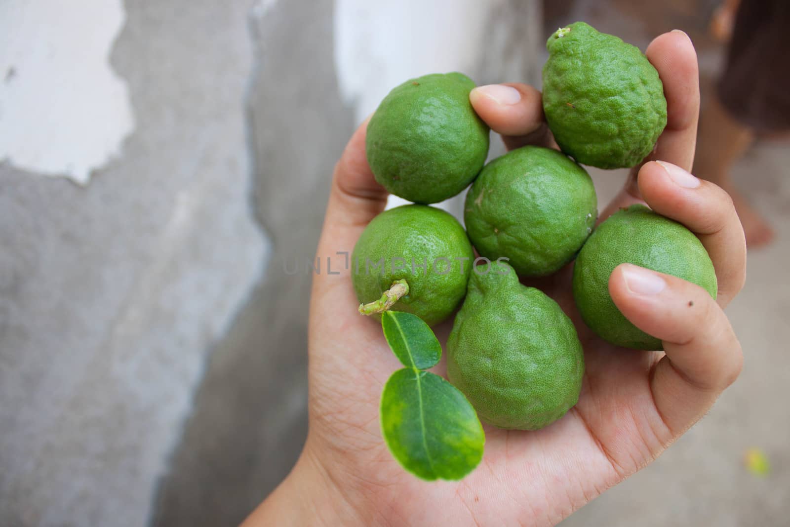 Lime in the hands of women