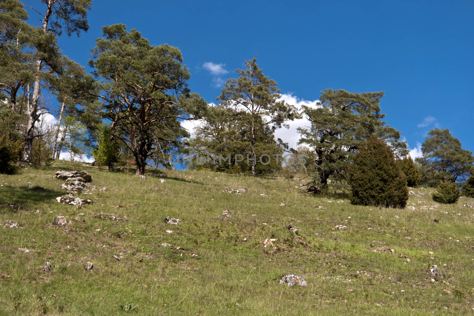 On the Altmuehltal Panorama Trail in Germany by 3quarks