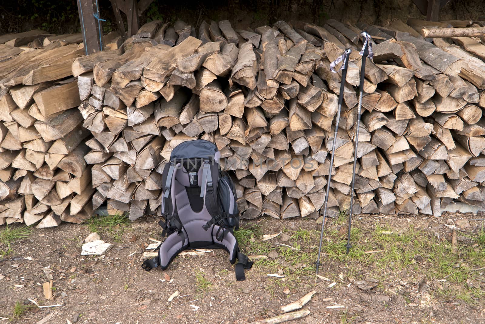 Stack of Wood