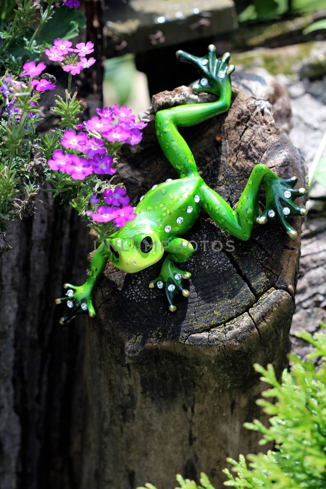 This ornamental green frog is decorated with white crystal rhinestone jewels.
