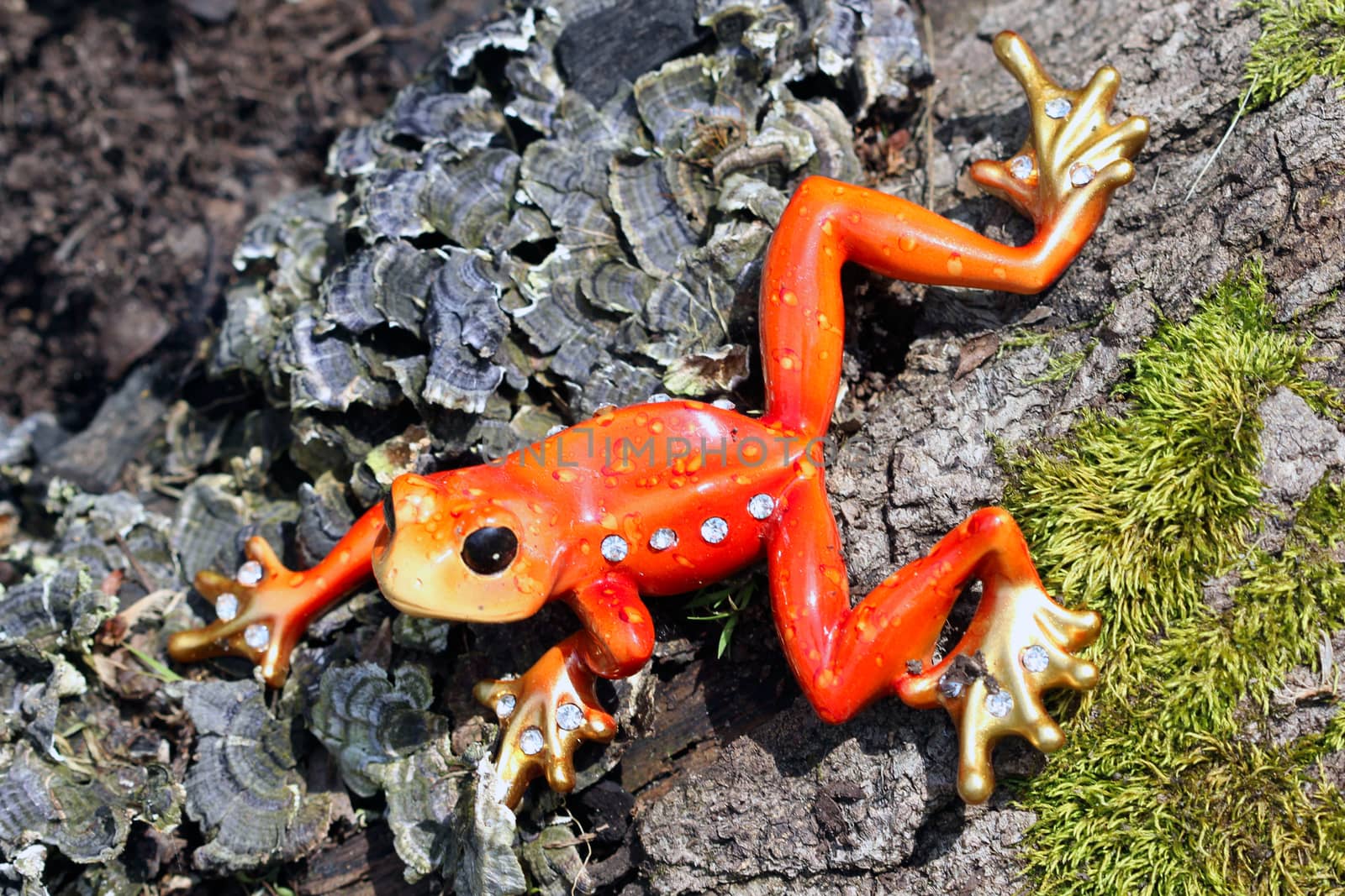 This ornamental orange frog is decorated with white crystal rhinestone jewels.