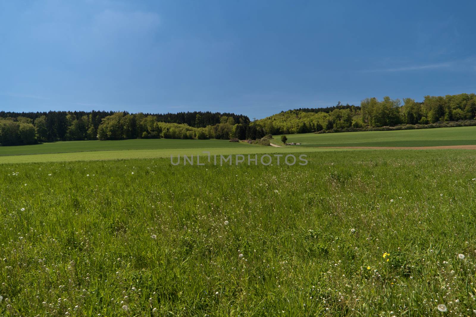 On the Altmuehltal Panorama Trail in Germany by 3quarks