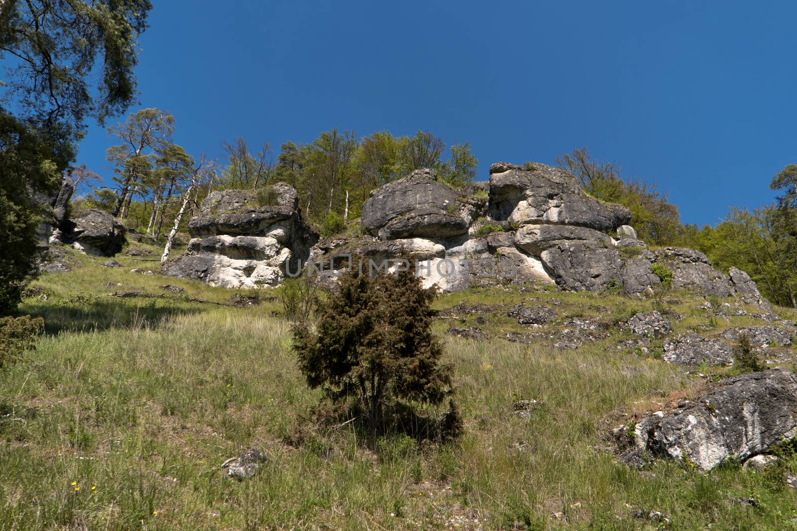 On the Altmuehltal Panorama Trail in Germany