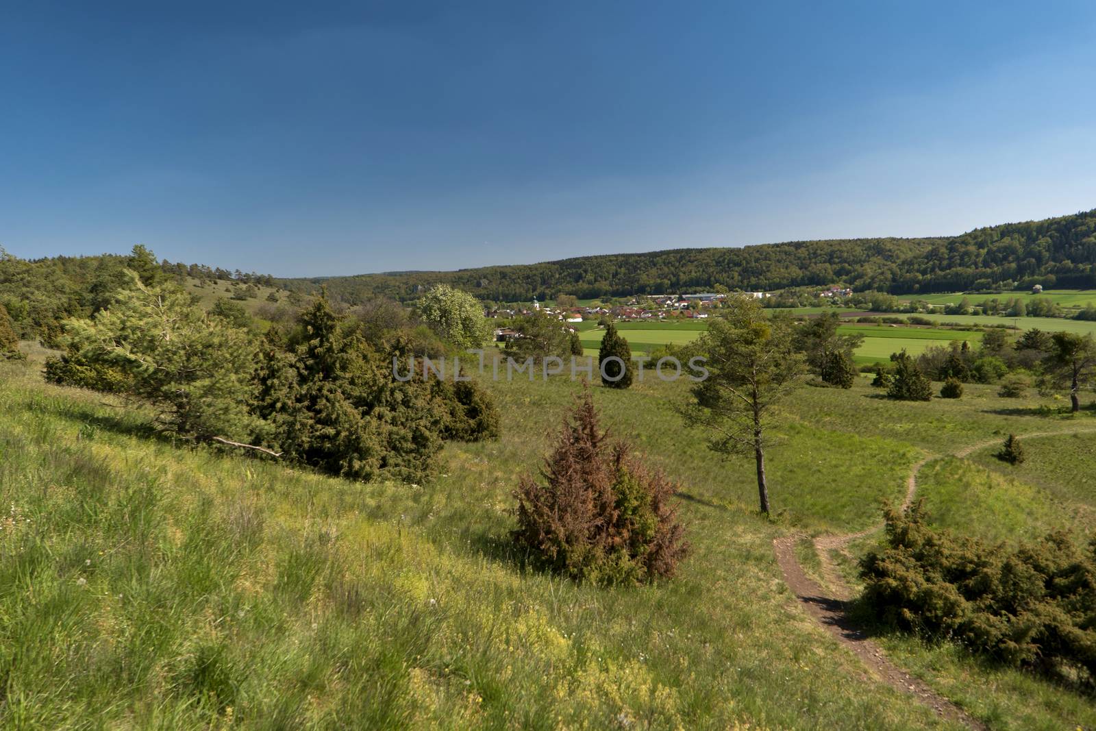 On the Altmuehltal Panorama Trail in Germany