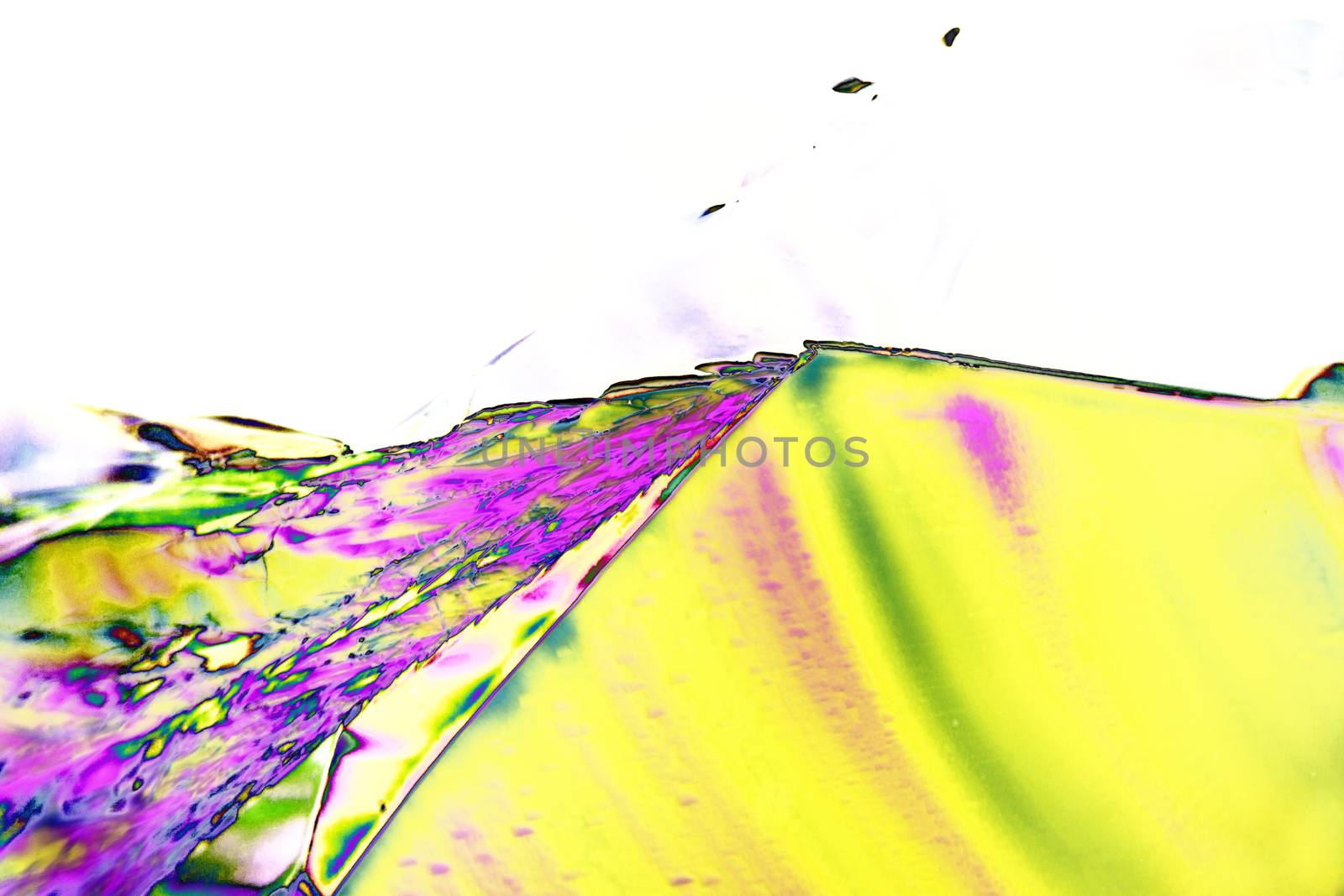 Microcrystals of tartaric acid in polarized light