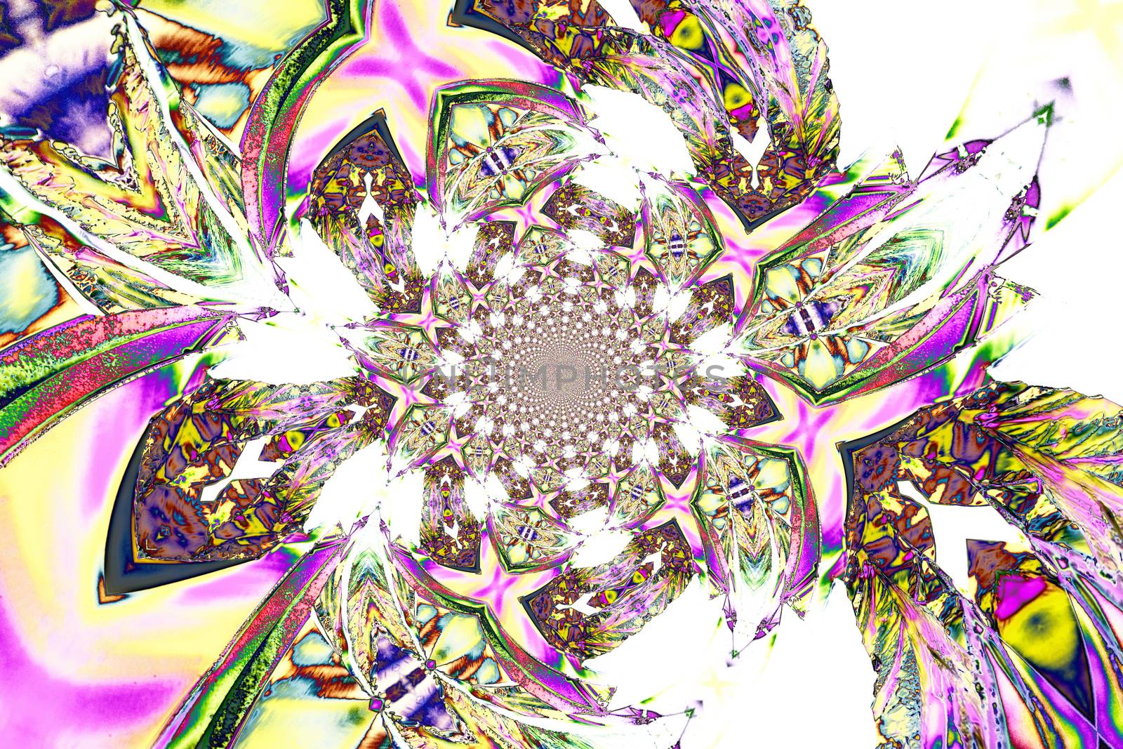 Microcrystals of tartaric acid in polarized light by 3quarks