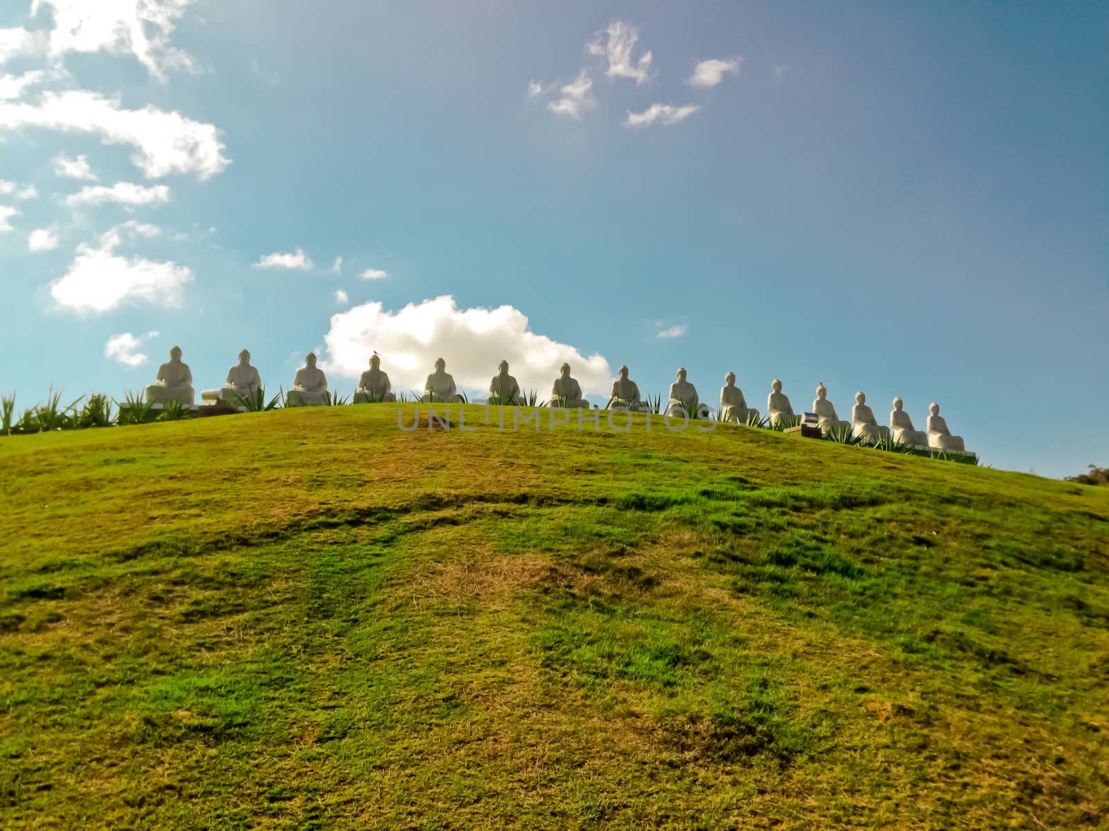 Budha statues on a green hill