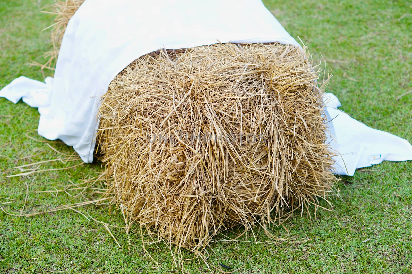 Pile of straw hay by product from rice field with white fabric on top.