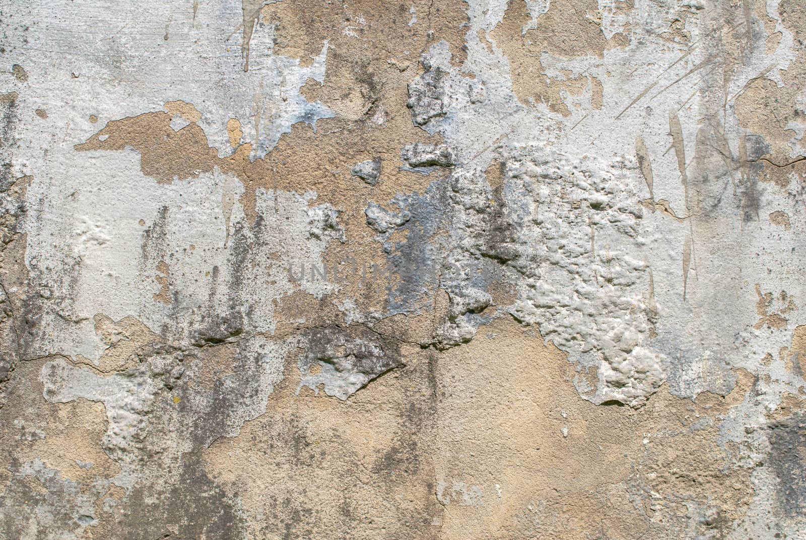 fragment of a concrete wall that for a long time exposed to different climatic conditions